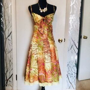 Silk Dress by Roberta Freymann